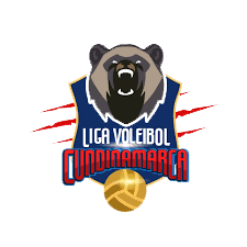 Liga Voleibol Cundinamarca